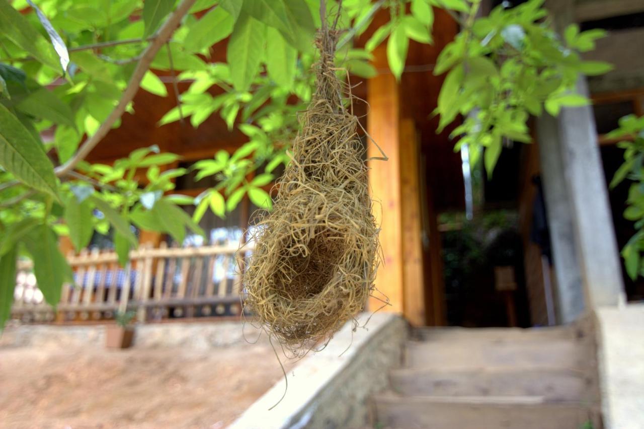 Ella Wood Cabin Zewnętrze zdjęcie