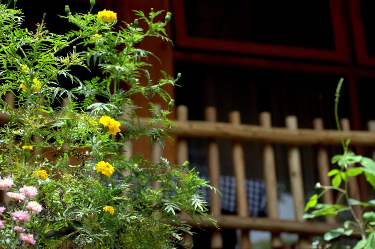 Ella Wood Cabin Zewnętrze zdjęcie