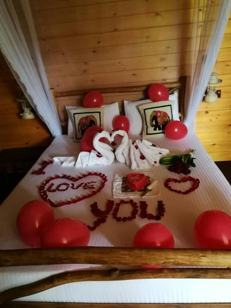 Ella Wood Cabin Zewnętrze zdjęcie