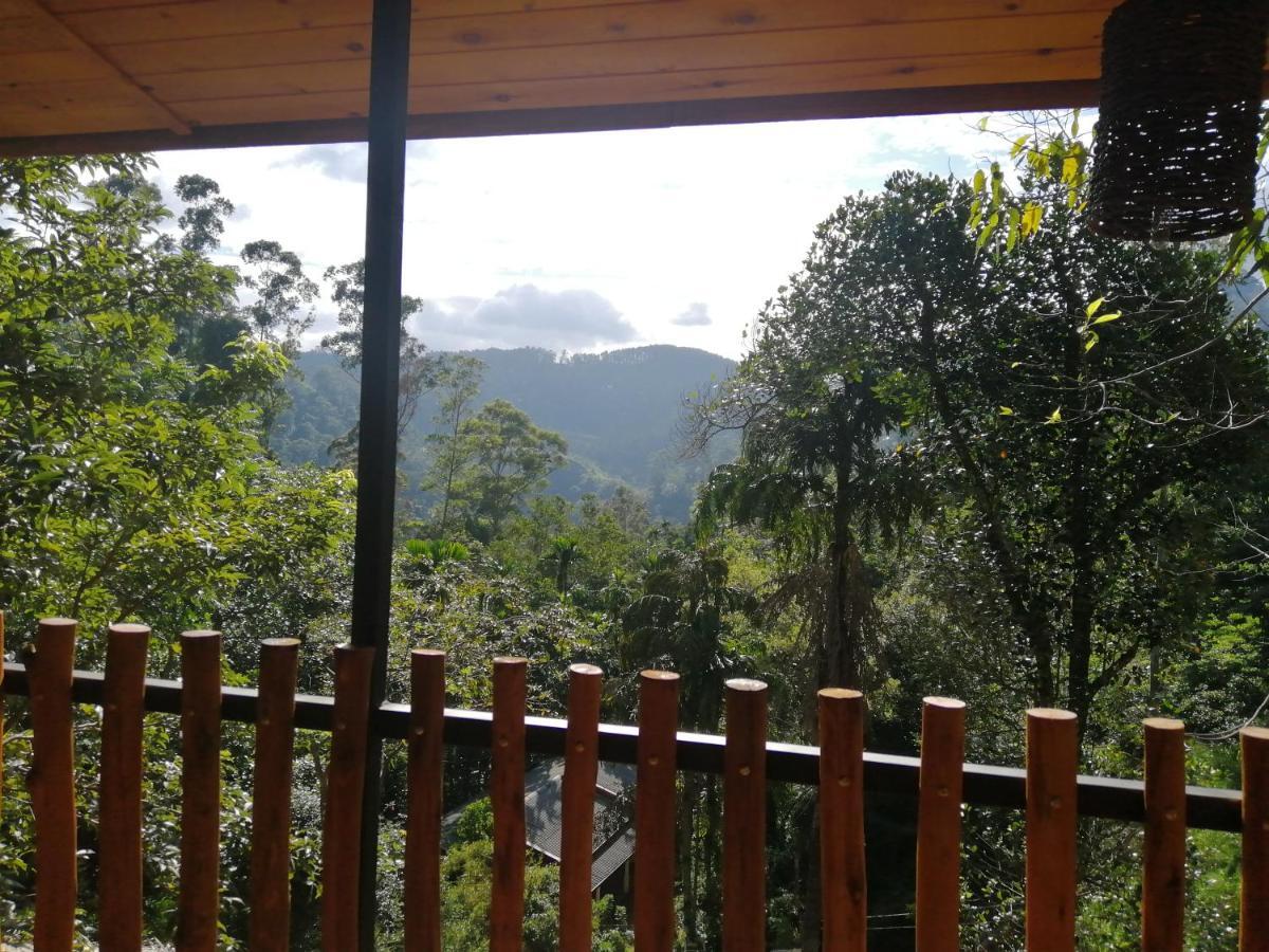 Ella Wood Cabin Zewnętrze zdjęcie